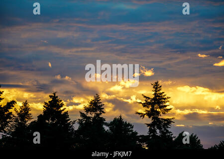 Tuesley Pereulok, Godalming. 1. Juli 2017. : UK trübe Wetter über den Home Counties heute Abend einen wunderschönen Sonnenuntergang zu bringen. Sonnenuntergang über Godalming, Surrey. Bildnachweis: James Jagger/Alamy Live News Stockfoto