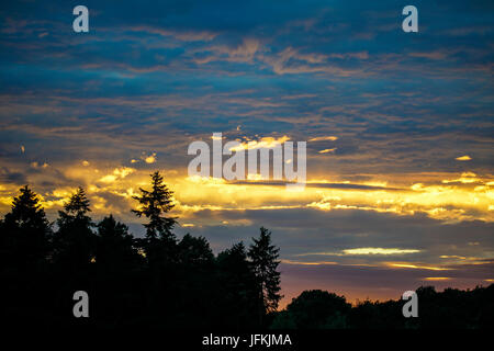 Tuesley Pereulok, Godalming. 1. Juli 2017. : UK trübe Wetter über den Home Counties heute Abend einen wunderschönen Sonnenuntergang zu bringen. Sonnenuntergang über Godalming, Surrey. Bildnachweis: James Jagger/Alamy Live News Stockfoto