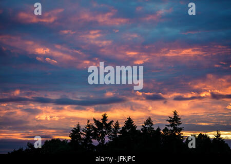 Tuesley Pereulok, Godalming. 1. Juli 2017. : UK trübe Wetter über den Home Counties heute Abend einen wunderschönen Sonnenuntergang zu bringen. Sonnenuntergang über Godalming, Surrey. Bildnachweis: James Jagger/Alamy Live News Stockfoto