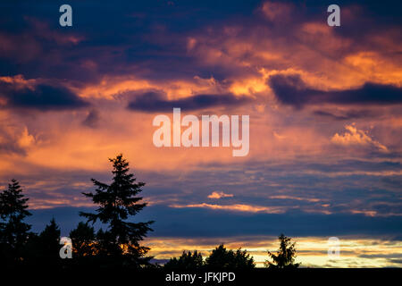 Tuesley Pereulok, Godalming. 1. Juli 2017. : UK trübe Wetter über den Home Counties heute Abend einen wunderschönen Sonnenuntergang zu bringen. Sonnenuntergang über Godalming, Surrey. Bildnachweis: James Jagger/Alamy Live News Stockfoto