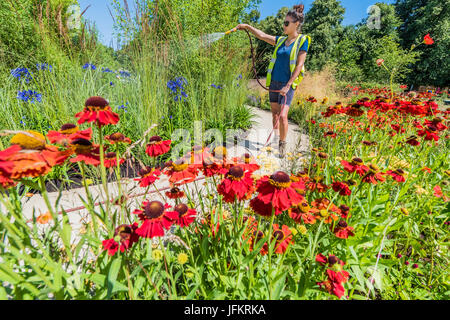 Hampton Court Palace, London, UK. 2. Juli 2017. Der Staudengarten Heiligtum von Tom Massey für Gärtner Royal Bennevolent Society - Vorbereitungen für die Hampton Court Flower Show, organisiert von der Royal Horticultural Society (RHS). Auf dem Gelände des Hampton Court Palace, London, 2. Juli 2017 Credit: Guy Bell/Alamy Live News Stockfoto