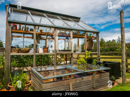 Garten Gewächshaus und Glas angehoben wachsenden Bed, sonnige Sommerwetter, East Lothian, Schottland, Großbritannien. Garten in Schottlands Garten Regelung Stockfoto