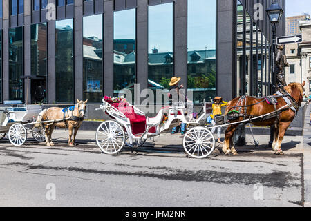 Montreal, Kanada - 28. Mai 2017: Altstadt mit Reiseleiter unterwegs im Pferd Wagen Buggy tagsüber vom Ort D'arms Straße in Québec region Stockfoto