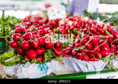 Makro Nahaufnahme der nassen roten Radieschen in Körben Bauernmarkt Stockfoto