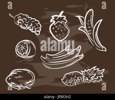 Sammlung von Hand gezeichnete Frucht auf Tafel. Retro-Vintage-Stil. Stock Vektor