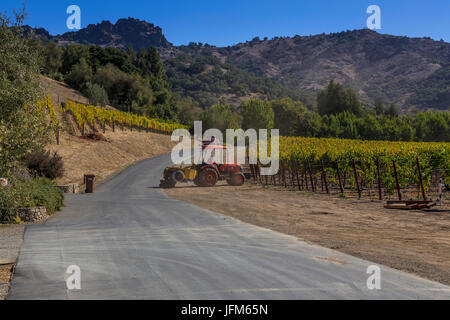 Weingut Arbeiter, Traube Weinberg, Traube Weingärten, Weinberg, Weinberge, Stags Leap District, Silverado Trail, Napa, Napa Valley, Napa County, Kalifornien Stockfoto