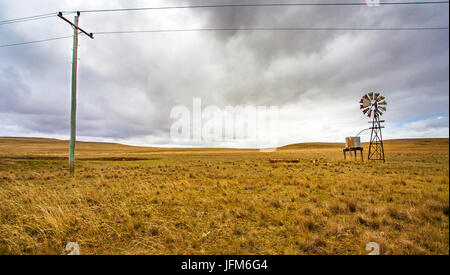 Texas Rad im Outback bei Tumut New South Wales Australien Stockfoto