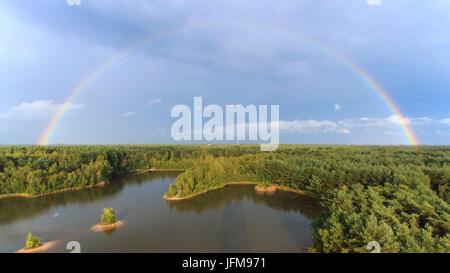 Regenbogen bei Sonnenuntergang über den Wald im Naturpark genannt Lommeles Sahara in Belgien Stockfoto