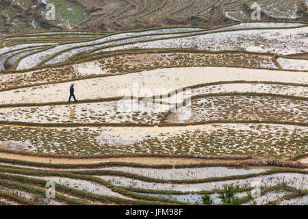 Landwirt zu Fuß unter die Reis-Terrassen von Sapa in Nord-Vietnam Stockfoto