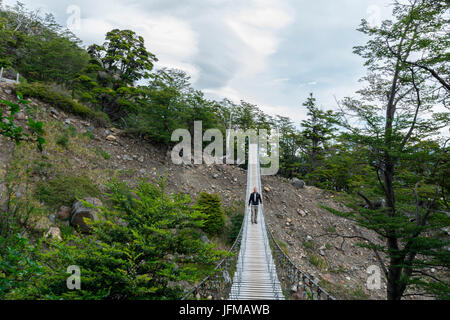 CILE, Patagonien, Torres del Paine Nationalpark, Grey Gletscher Stockfoto