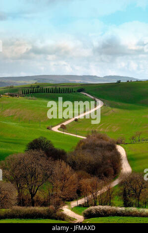Toskanischen Hügel in Val d ' Orcia, Toskana, Italien Stockfoto