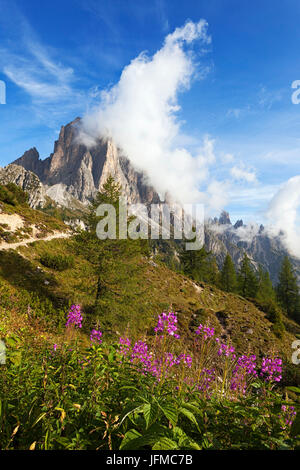 Auronzo di Cadore, Cadini di Misurina, Dolomiten, Belluno, Region Venetien, Italien, Stockfoto