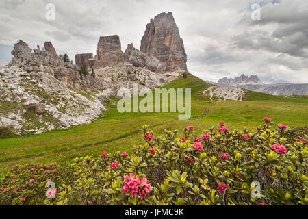 Cinque Torri, Ampezzaner Dolomiten, Cortina d ' Ampezzo, Belluno, Veneto, Italien Stockfoto