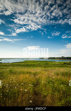 USA, Massachusetts, Cape Cod, Eastham, Fort Hill, Landschaft Stockfoto