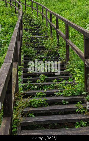 Naturwissenschaft, alte Treppe führt nach oben Stockfoto