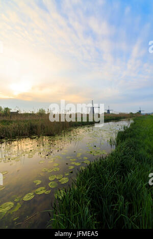 Morgendämmerung auf Windmühlen spiegelt sich in den Kanal, umrahmt von Schwimmblätter Kinderdijk Molenwaard Süd-Holland Niederlande Europa Stockfoto