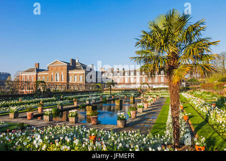 England, London, Kensington, Kensington-Palast, der versunkene Garten Stockfoto