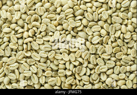 Ungerösteten Arabica Kaffeebohnen flache Grünfläche. Hintergründe. Makrofoto Essen Nahaufnahme direkt von oben. Stockfoto