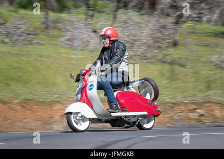 Vintage1957 Lambretta Ld Scooter auf der Landstraße in der Nähe der Stadt Birdwood, South Australia Stockfoto