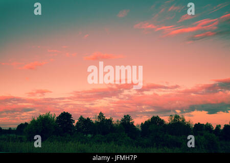 Sonnenuntergang über dem Wald. Silhouette der Bäume gegen verbrannte Abendhimmel Stockfoto