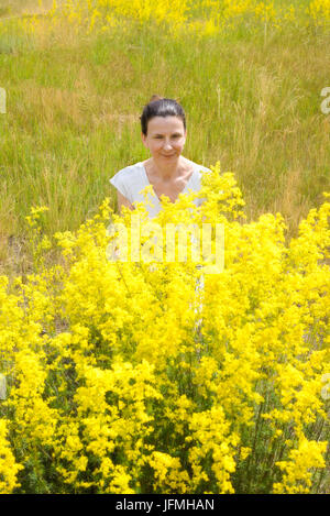 Eine erwachsene Frau aufsteht hinter einem Busch von Galium Verum Blumen, auch bekannt als lady's Labkraut oder gelbe Labkraut, auf der Wiese unter dem warmen und sof Stockfoto