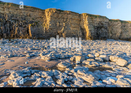 Nash Point, Monknash Küste von Vale von Glamorgan, Wales, Vereinigtes Königreich, Europa. Stockfoto