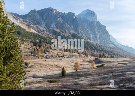 Passo Falzarego, Provinz Belluno, Region Venetien, Italien, Europa. Stockfoto