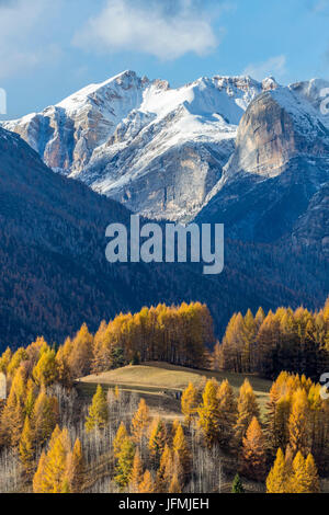 Passo Tre Croci, Cortina D'Ampezzo, Provinz Belluno, Region Venetien, Italien, Europa. Stockfoto