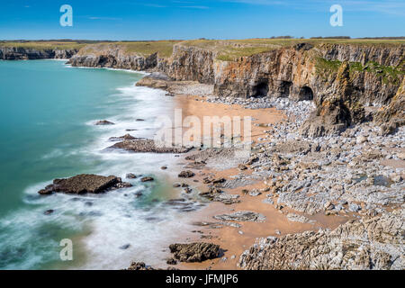 Stackpole Warren, Pembrokeshire Coast National Park, Bosherston, Wales, UK Stockfoto