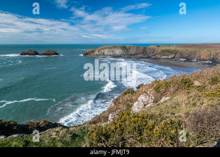 Traeth Llyfn gesehen von Pembrokeshire Coast Path aus Abereiddy, Porthgain, Pembrokeshire Coast National Park, Abereiddy, Wales, Vereinigtes Königreich, Euro Stockfoto