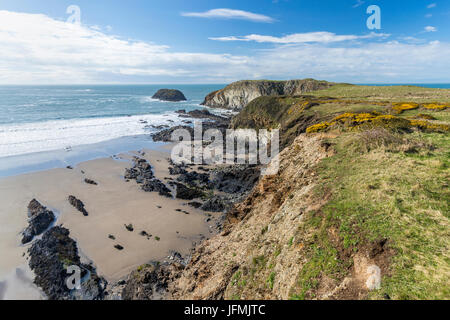 Traeth Llyfn gesehen von Pembrokeshire Coast Path aus Abereiddy, Porthgain, Pembrokeshire Coast National Park, Abereiddy, Wales, Vereinigtes Königreich, Euro Stockfoto