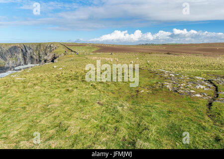 Traeth Llyfn gesehen von Pembrokeshire Coast Path aus Abereiddy, Porthgain, Pembrokeshire Coast National Park, Abereiddy, Wales, Vereinigtes Königreich, Euro Stockfoto