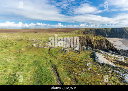 Traeth Llyfn gesehen von Pembrokeshire Coast Path aus Abereiddy, Porthgain, Pembrokeshire Coast National Park, Abereiddy, Wales, Vereinigtes Königreich, Euro Stockfoto