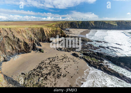 Traeth Llyfn gesehen von Pembrokeshire Coast Path aus Abereiddy, Porthgain, Pembrokeshire Coast National Park, Abereiddy, Wales, Vereinigtes Königreich, Euro Stockfoto