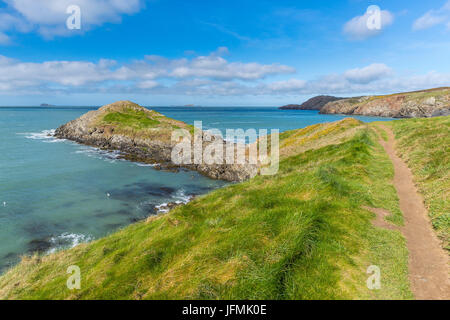 Trwynhwrddyn gesehen von Wales Coast Path an Str. Davids Kopf, Pembrokeshire Coast National Park, Wales, Vereinigtes Königreich, Europa. Stockfoto