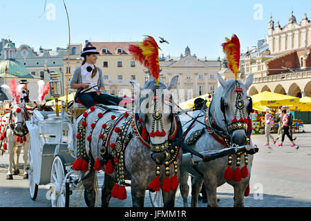 KRAKAU, POLEN - 1. SEPTEMBER 2016. Pferdekutsche für Stadtrundfahrten in Krakauer Hauptmarkt Rynek Glowny Square Stockfoto