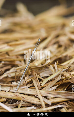 Nadel im Heuhaufen Stockfoto