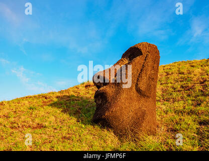 Moai am Steinbruch am Hang des Vulkans Rano Raraku bei Sonnenaufgang, Nationalpark Rapa Nui, Osterinsel, Chile Stockfoto