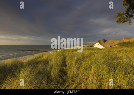 Strand an der Ostsee, Deutschland Stockfoto