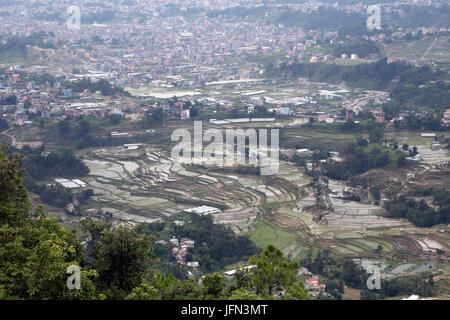 Die Reis-Plantagen im Kathmandu-Tal Shivapuri Nagarjun Nationalpark, Nepal Stockfoto