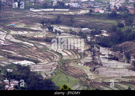 Die Reis-Plantagen im Kathmandu-Tal Shivapuri Nagarjun Nationalpark, Nepal Stockfoto