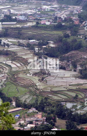 Die Reis-Plantagen im Kathmandu-Tal Shivapuri Nagarjun Nationalpark, Nepal Stockfoto