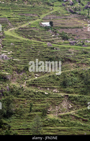 Die Zick-Zack-Wege und Terrassen am Hang durch die Reis-Plantagen im Kathmandu-Tal Shivapuri Nagarjun Nationalpark, Nepal Stockfoto