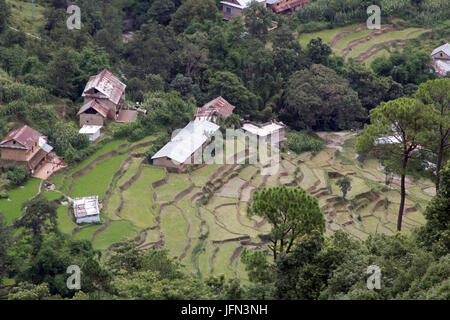 Die Reis-Plantagen im Kathmandu-Tal Shivapuri Nagarjun Nationalpark, Nepal Stockfoto