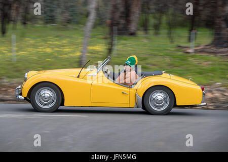 Jahrgang 1959 Triumph TR3A Cabrio fahren auf der Landstraße in der Nähe der Stadt Birdwood, South Australia. Stockfoto