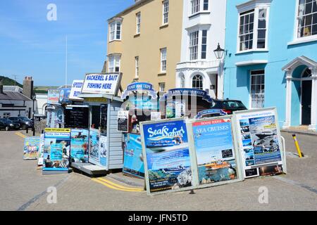 Hütten-Plakate-Schilder Werbung Boot und Angeln Reisen Tenby Wales Cymru UK GB Stockfoto