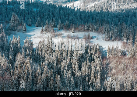 Winter Ukrainischen Karpaten Landschaft. Stockfoto