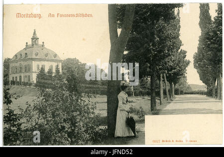 06077-Moritzburg-1905-Am Fasanenschlößchen-Brück & Sohn Kunstverlag Stockfoto