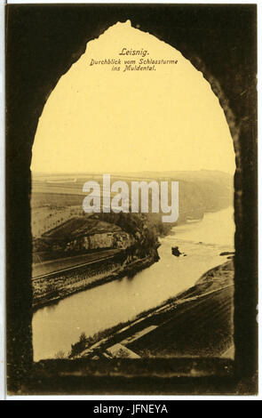 07233-Leisnig-1906-Blick Vom Schloßturm ins Muldental-Brück & Sohn Kunstverlag Stockfoto