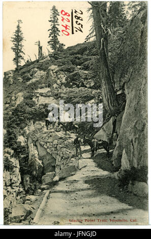 08240-Yosemite-1906-Glacier Point Trail-Brück & Sohn Kunstverlag Stockfoto